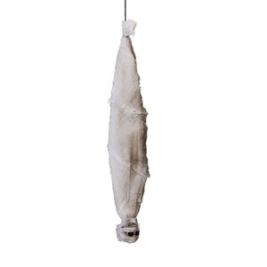 Karl Home 3ft Halloween Animated Hanging Cocoon Corpse Decoration - 1 of 4