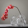 Sullivans 7.5" & 9" Etched Vase - Set of 2, Clear - 4 of 4