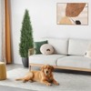 Artificial Cedar Topiary Trees - 5 FT (2 Pack) Topiary Trees Artificial Outdoor & Indoor,Realistic UV Resistant - for Outdoor,Garden, Front Door - 2 of 4