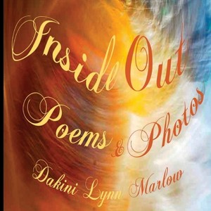 Inside Out - by  Dakini Lynn Marlow (Paperback) - 1 of 1