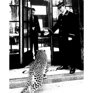 Poster Master Panther in Fashion Boutique - 1 of 2