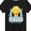 Boys' - Sesame Street - Pisces Big Bird Short Sleeve Graphic T-Shirt - 2 of 4