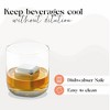 Rabbit Whiskey and Beverage Jumbo Chilling Stones Set, Chrome - 4 of 4