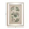 19.5" x 28.5" Large Vintage Style Plant Illustrations Textile in Mirror and Rectangular Frame Gold - Olivia & May - 3 of 3