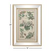 19.5 X 28.5 Large Vintage Style Plant Illustrations Textile In