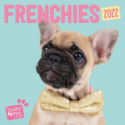 2022 Wall Calendar Frenchies-Studio Pets - Willow Creek Press