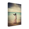 Trademark Fine Art - Svetlana Bekyarova Abandoned Dreams Matted Framed Art - 2 of 4