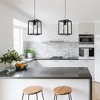 TOBILI 25 styles of single-head pendant lights in black.5 - 3 of 4
