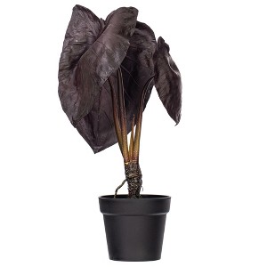 Vickerman Artificial Alocasia Potted Plant - 1 of 4