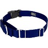 Country Brook Petz Heavy Duty Nylon Martingale Dog Collar with Deluxe Buckle - 30+ Vibrant Color Options - 4 of 4