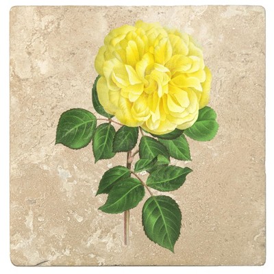 Christmas by Krebs Set of 4 Green and Yellow Hybrid Rose Square Coasters 4"