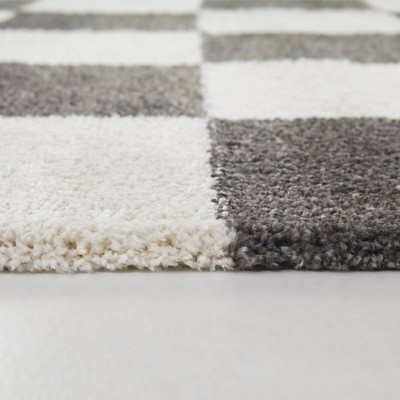 Reinhart Dark Gray and White Checkered Synthetic Area Rug
