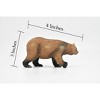 Grizzly Bear, North American brown bear, Museum Quality, Hand Painted, Plastic Animal, Figure,  Model, Toy, Kids, 4 Inches.   CWG186 BB43 - 2 of 4
