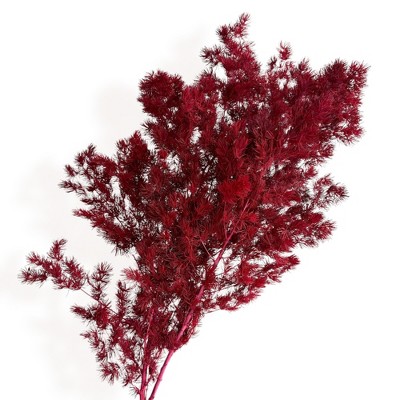 Alilang Decorative Dried Fine Leaf Stems for Home Decoration and Floral Arrangements, 17.7 Inches