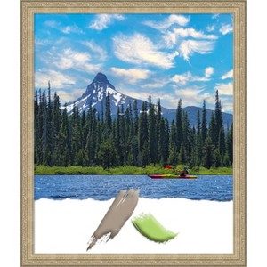 Amanti Art Paris Champagne Picture Frame - 1 of 4