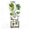Plant Shelf With Grow Lights,8 Tiered Plant Stand,Plant Stand For Indoor Plants,S-Shaped Plant Rack For Livingroom Furniture Indoor -The Pop Home - 4 of 4