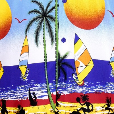 pastel blue palm island view