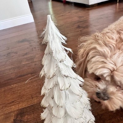 Guest review image 3 of 3, zoom in