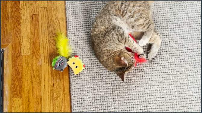Quirky Kitty Taco Tuesday Cat Toy - 3pk, 2 of 8, play video