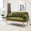 Comfy Upholstered Modern Velvet Loveseat Sofa for Living Bedroom Leisure Areas - image 3 of 4