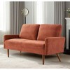56" Velvet European Style 2-Seater Loveseat Sofa for Living Room, Apartment or Office with Sleek Design, Modern Vintage Flair - 4 of 4