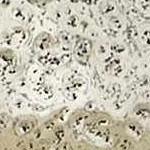 clear, metallic gold, white