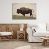 Stupell Industries Serene Buffalo on Country Hill Canvas Art - 3 of 4