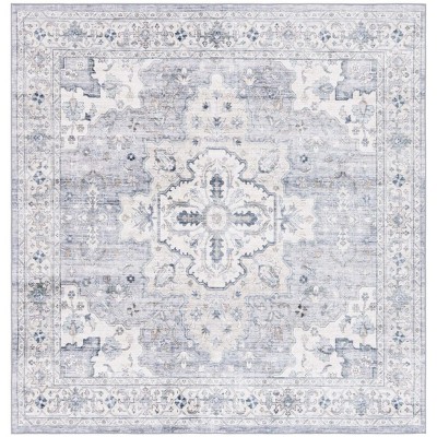 Arizona ARZ520 Power Loomed Machine Washable Area Rug  - Safavieh