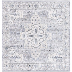 Arizona ARZ520 Power Loomed Machine Washable Area Rug  - Safavieh - 1 of 4