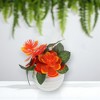 Unique Bargains Artificial Plants 3-Piece Spiral Lotus Plastic 4.33"x4.33"x4.33" 1 Pcs - 2 of 4