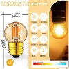 Runesay G40 LED Low Voltage E26 Light Bulbs, Standard Screw Base, 25W Decor Bulb Equivalent, Dimmable Amber, Small Edison Bulbs, 2700K - 2 of 4