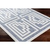 Mark & Day Cassoday Woven Indoor and Outdoor Area Rugs - 4 of 4