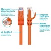 Monoprice Cat5e Ethernet Patch Cable - 7 Feet - Orange | Network Internet Cord - Snagless RJ45, Stranded, 350Mhz, UTP, Pure Bare Copper Wire, 24AWG - - image 3 of 4