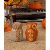 Transpac Harvest Owl with Flowers Dolomite Salt and Pepper Shakers Collectables Brown 3.25 in. Set of 2 - 2 of 4