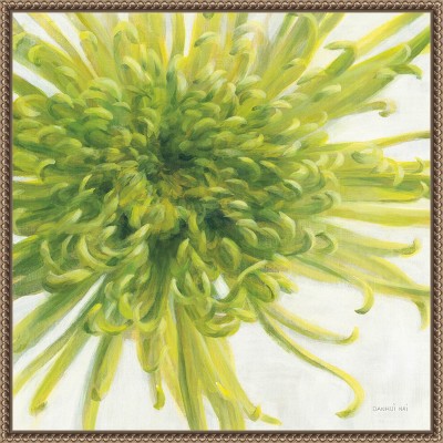Green Chrysanthemum Botanical Canvas Print with Wood Frame