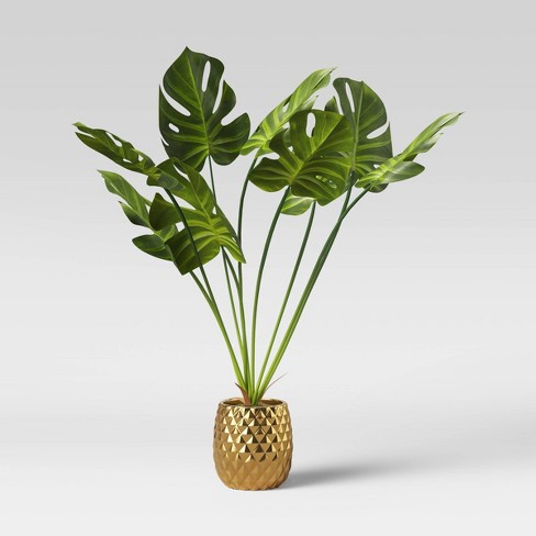 Potted Palm Leaf Plant Opalhouse Target