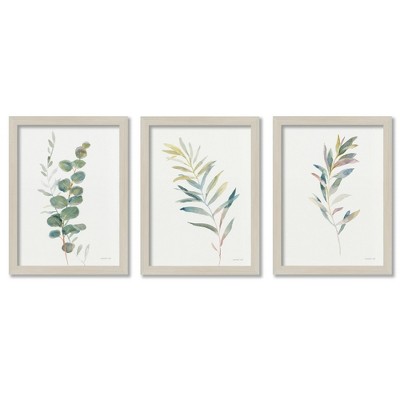 Delicate Greenery By Danhui Nai - 3 Piece Gallery Framed Print Art Set ...
