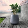 Rosemead Home & Garden, Inc. Kante Concrete Indoor Planter Pots Charcoal Gray 11.81"x11.81"x12.2" - 2 of 3