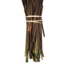 Vickerman 15-20" Natural Bell Grass with Seed Pods, Preserved - 3 of 4