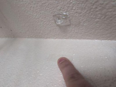 Guest review image 1 of 1, zoom in
