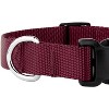 Country Brook Petz Deluxe Nylon Dog Collar and Leash - 4 of 4