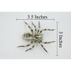 Collectible Wildlife Gifts | Spider, Wolf, Arachnids, Museum Quality, Hand Painted, Rubber Insect, Model,  Toy, Gift,   3 1/2"   CH530 BB158 - 3 of 4