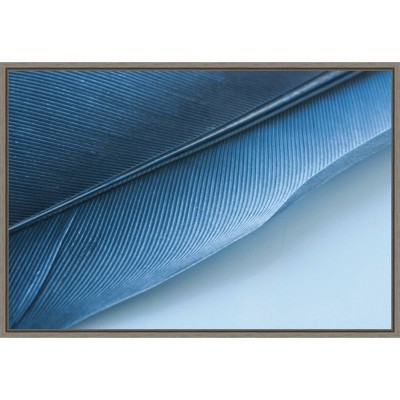 23" x 16" Feather I by Jennifer Beavers Framed Canvas Wall Art Blue - Amanti Art