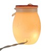 Stony Creek 4.0 Inch Winter Cardinal Couple Pre-Lit Small Jar Christmas Lighted Glass Accent , Christmas Decor Illuminated Vase Cardinals (1PC) - 3 of 4