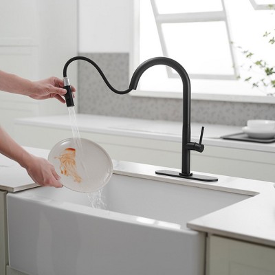 Matte Black Brass High Arc Single Handle Kitchen Faucet