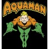 Boy's Justice League Aquaman Dives In Pull Over Hoodie - 2 of 4