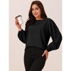 Seta T Women's Elegant Round Neck Chiffon Pleated Long Sleeve Flowy Dressy Business Tops - image 2 of 4