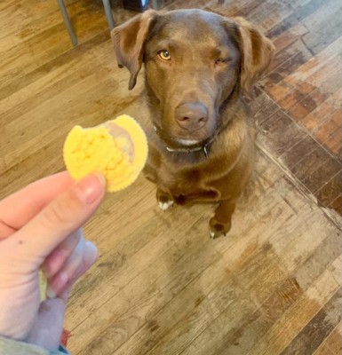 Guest review image 3 of 6, zoom in