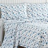 Collections Etc Shell Notes Sheet Set - 2 of 4