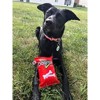 Spot Fun Food Dogritos Chips Plush Dog Toy - 2 of 3